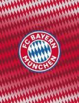        Bayern München takaró
