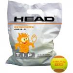 Teniszlabda Head TIP narancssárga 72 db