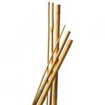 Bambusz rúd, karó, növénytámasz 150 cm 4 db