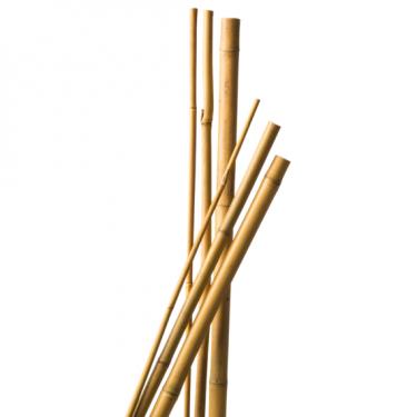 Bambusz rúd, karó, növénytámasz 120 cm 5db