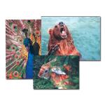 GEMBIRD Mouse pad PVC picture