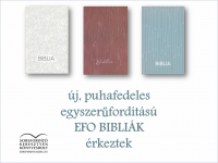 Biblia / Egyszerű (EFO)   